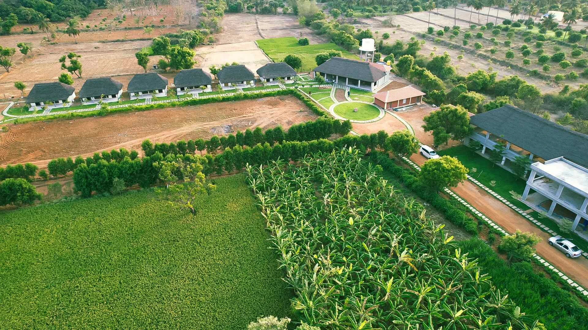 luxury health and wellness retreats